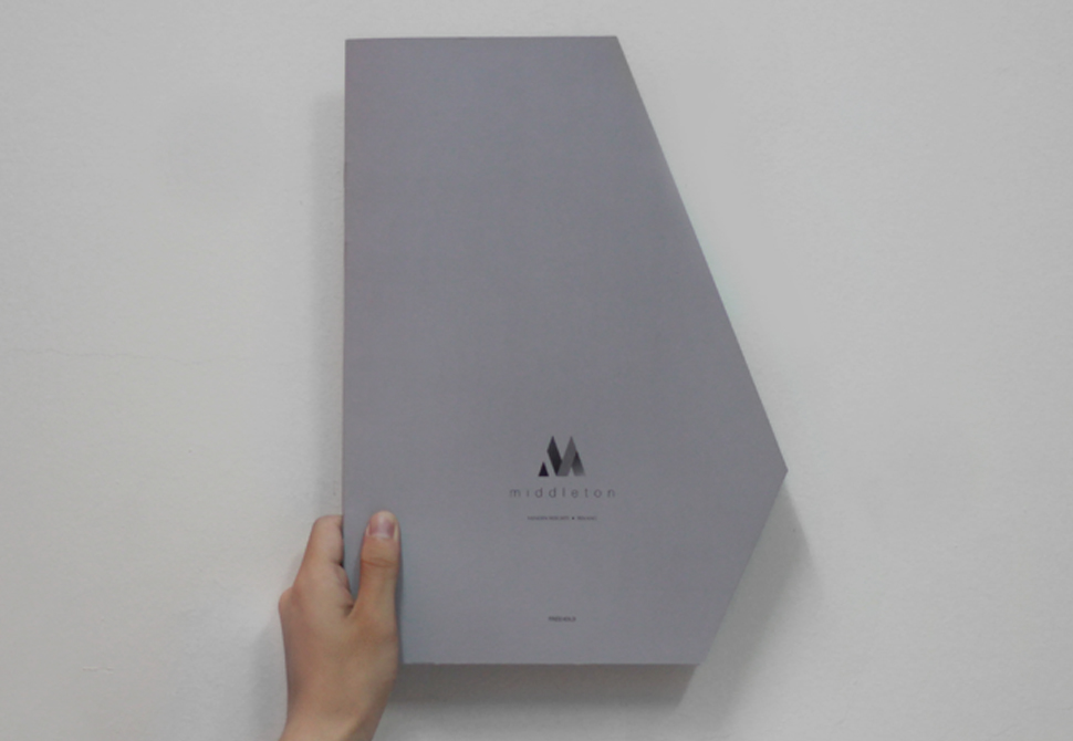 Item Preview